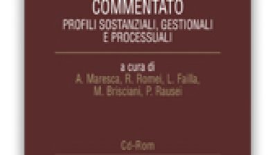 Lavoro . Formulario commentato 2017